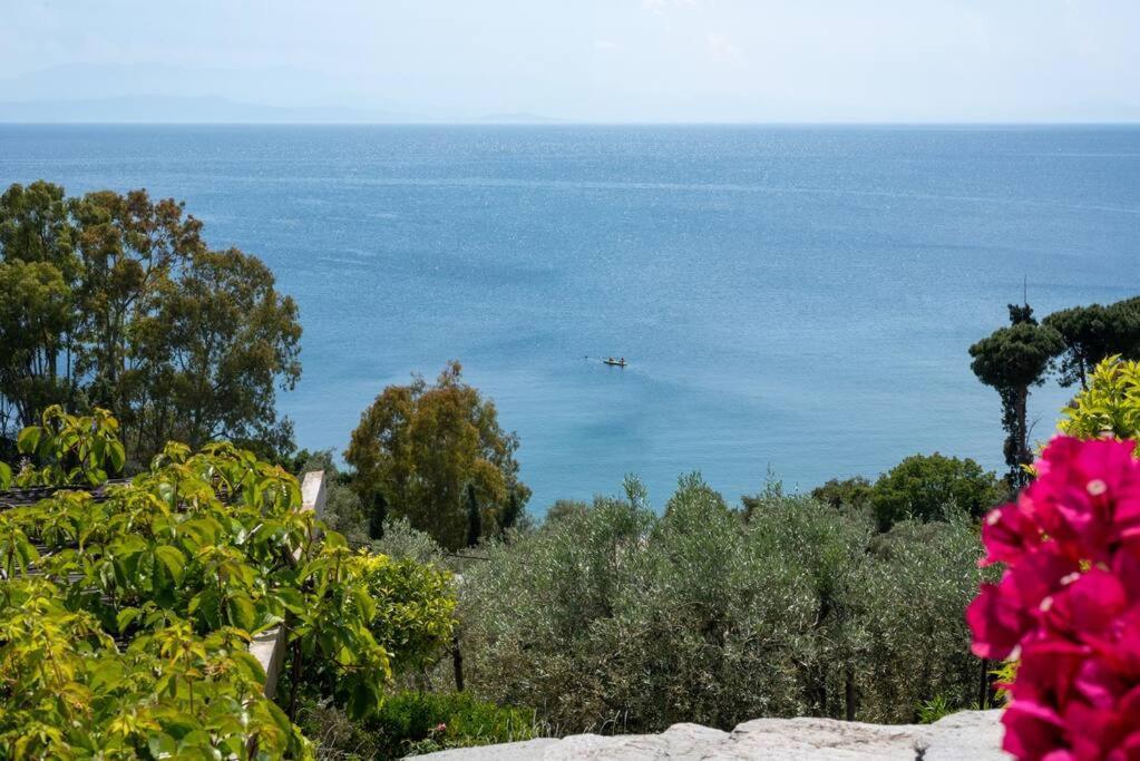 Seaside House With View Over Pagasitikos 아피소스 외부 사진