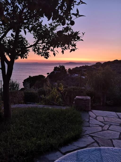 Seaside House With View Over Pagasitikos 아피소스 외부 사진